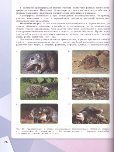 Биология 11 класс. Базовый уровень. Учебник