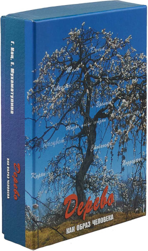Дерево как образ человека. Метафорические карты (Генезис)