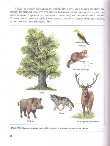 Биология 5 класс. Учебник. Концентрический курс. ФГОС