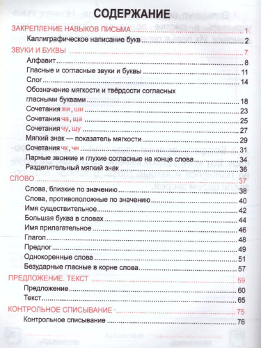 Русский язык 2 класс. Комплексный тренажер