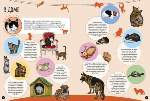 Млекопитающие Удивительный мир животных