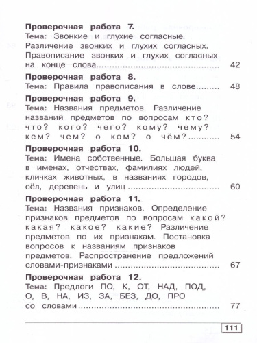 Русский язык 4 класс. Проверочные работы. Для обучающихся с интеллектуальными нарушениями