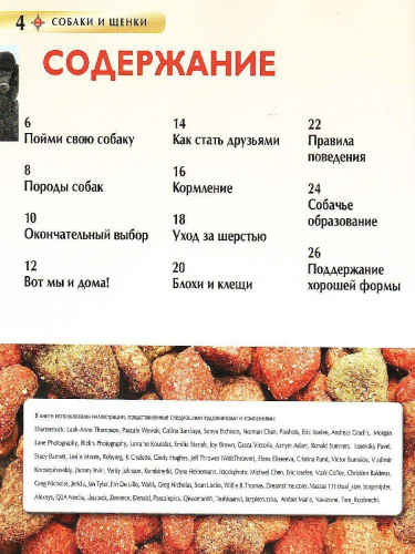 Собаки и щенки. Детская энциклопедия