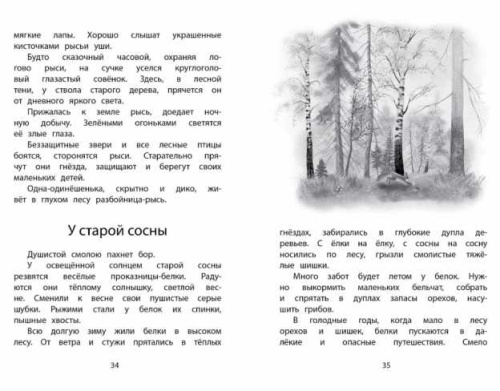 Год в лесу. Рассказы о природе