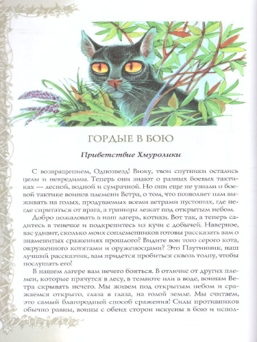 Коты-воители. Подарок. Битвы племен