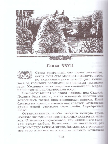 Коты-воители. Битва за лес