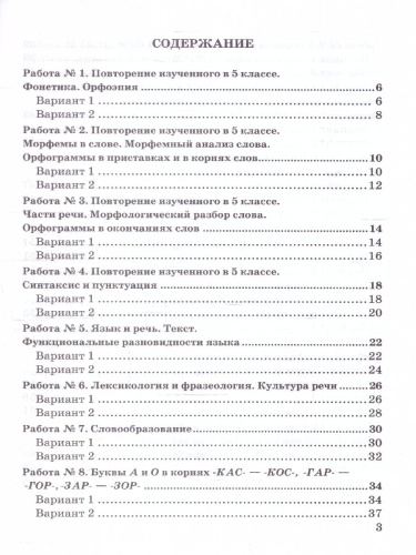 Русский язык 6 класс. Зачетные работы к учебнику М. Баранова