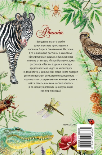 Беспризорная кошка. Лучшие рассказы о живой природе с вопросами и ответами для почемучек