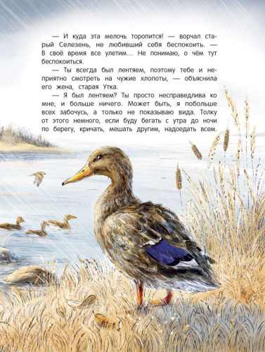 Серая Шейка
