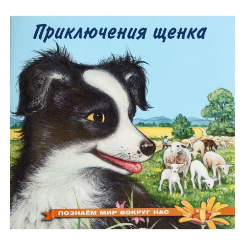 Познаем мир вокруг нас / Приключения щенка