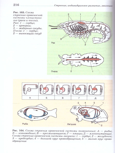 Биология 7 класс. Животные. Учебное пособие