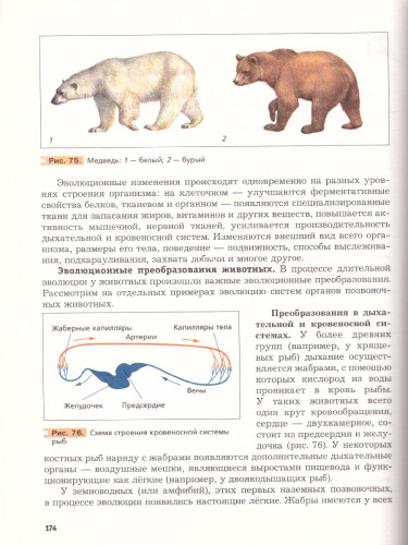 Основы общей Биологии 9 класс. Учебник. Концентрический курс. ФГОС