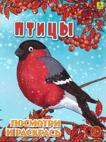 Раскраска детская. Птицы