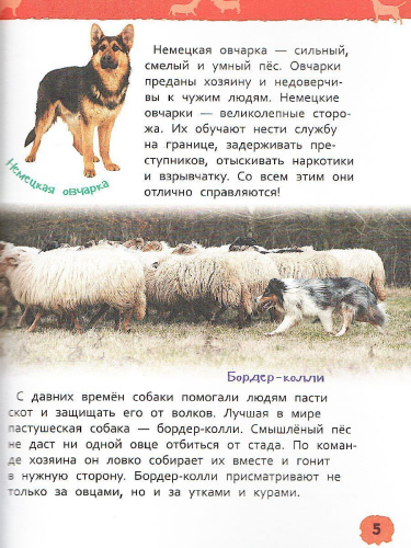 Домашние питомцы. Энциклопедия для детского сада
