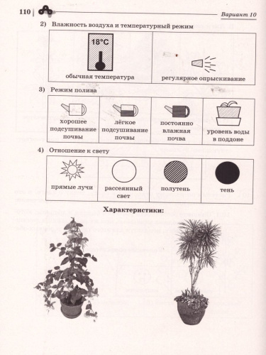 ВПР-2022. Биология 6 класс. 10 тренировочных вариантов.