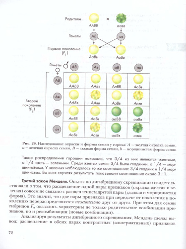 Основы общей Биологии 9 класс. Учебник