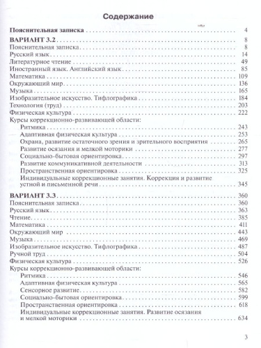Примерные рабочие программы по учебным предметам и коррекционным курсам НОО слепых обучающихся. Вариант 3.2.,3.3. 3 класс