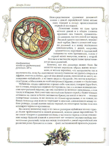 Сборник. Новые пушистые истории. О котах и кошках