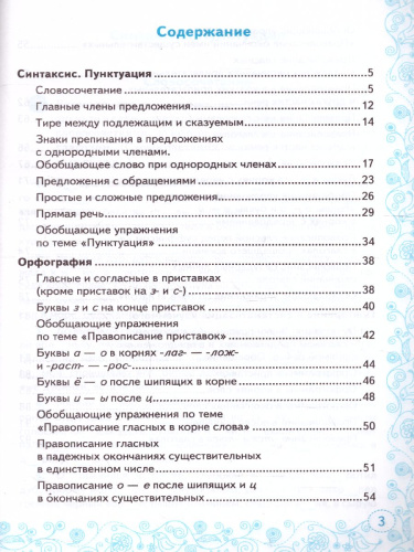 Тренажер по русскому языку 5 класс. К учебнику Т.А. Ладыженской. ФГОС