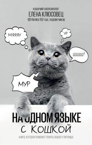 На одном языке с кошкой /Звезда инстаграма