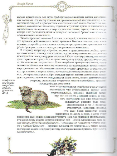 Сборник. Новые пушистые истории. О котах и кошках