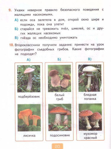 Окружающий мир 2 класс. Тесты. Часть 2. К новому учебнику. УМК Плешакова. ФГОС НОВЫЙ