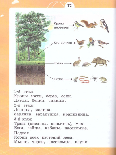 Естествознание 1 класс. Азбука экологии