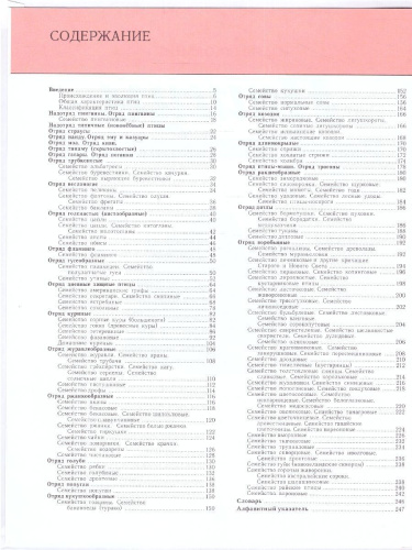 Птицы. Полная энциклопедия