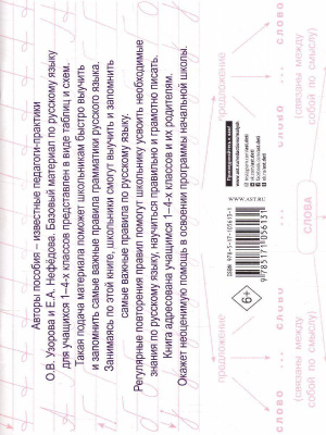 55631616-1