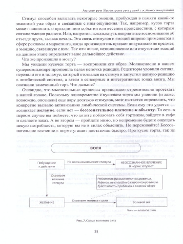 Анатомия речи: как отстроить речь у детей с особенностями развития