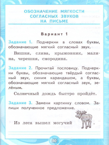 Русский язык 1 класс. Контрольные работы. Ко всем действующим учебникам. ФГОС
