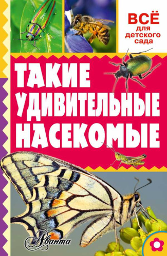 Такие удивительные насекомые. Всё для детского сада