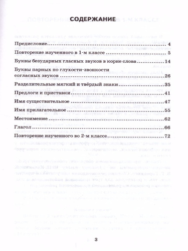 Русский язык 2 класс. Диктанты. ФГОС
