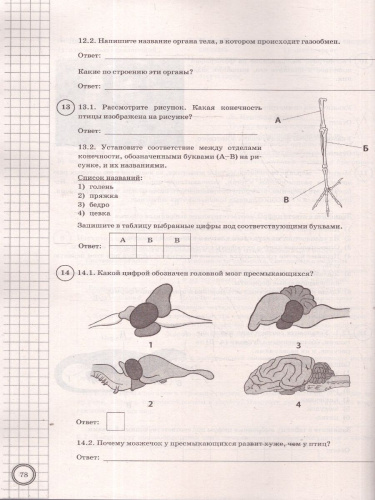 ВПР Биология 8 класс. 10 типовых вариантов