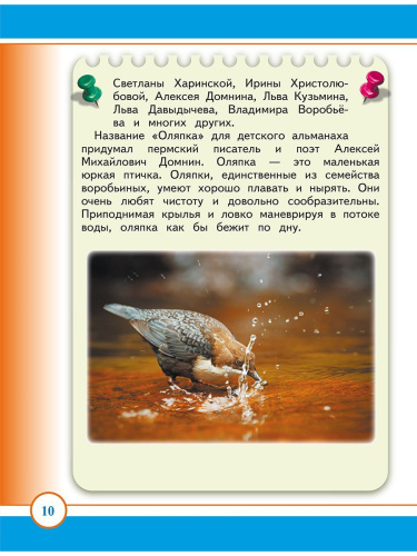 Маленький пермяк. Занимательное краеведение. 1 класс. Тренажер для школьников
