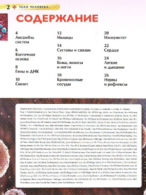 55638728-4