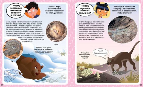 Почему? 100 вопросов и ответов в картинках