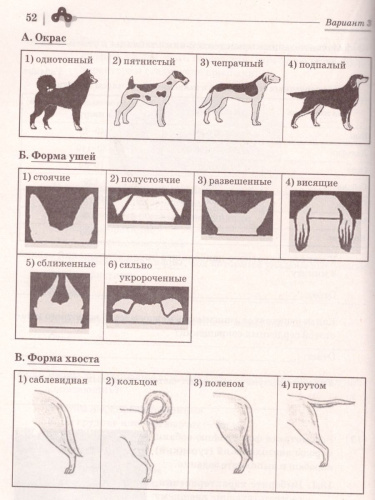 ВПР. Биология 7 класс. 5 тренировочных вариантов