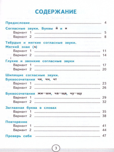 Русский язык 1 класс. Тесты к учебнику П.В. Канакиной. Часть 2. ФГОС НОВЫЙ