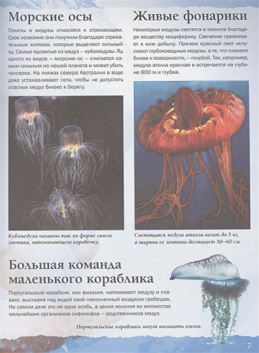 Подводный мир /Простая наука 4D