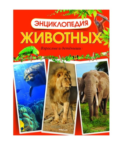 Энциклопедия животных. Взрослые и детёныши