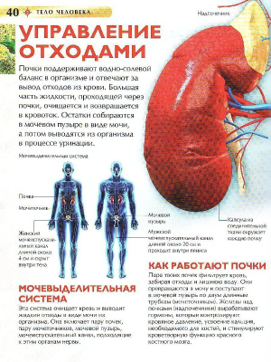 55638728-3