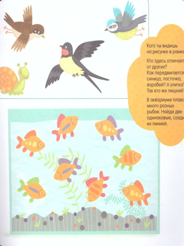 Маленькие чудеса большого мира