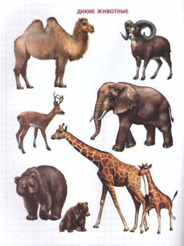 Геометрия вокруг нас. Рисование по клеточкам для детей 5-7 лет. ФГОС ДО