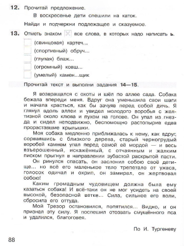 Русский язык 3 класс. Подготовка к ВПР