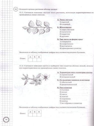 ВПР Биология 6 класс. Типовые задания. 10 вариантов