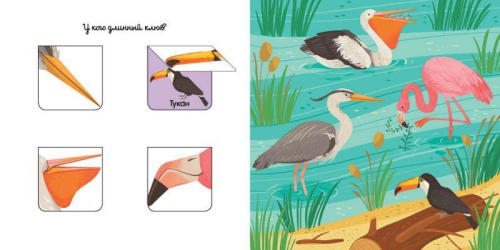 Уши, лапы и хвосты