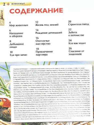 Животные