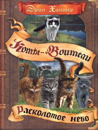 Коты-воители. Цикл "Видение теней". Расколотое небо