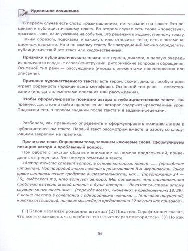 Идеальное сочинение. Подготовка к ЕГЭ. Проблема